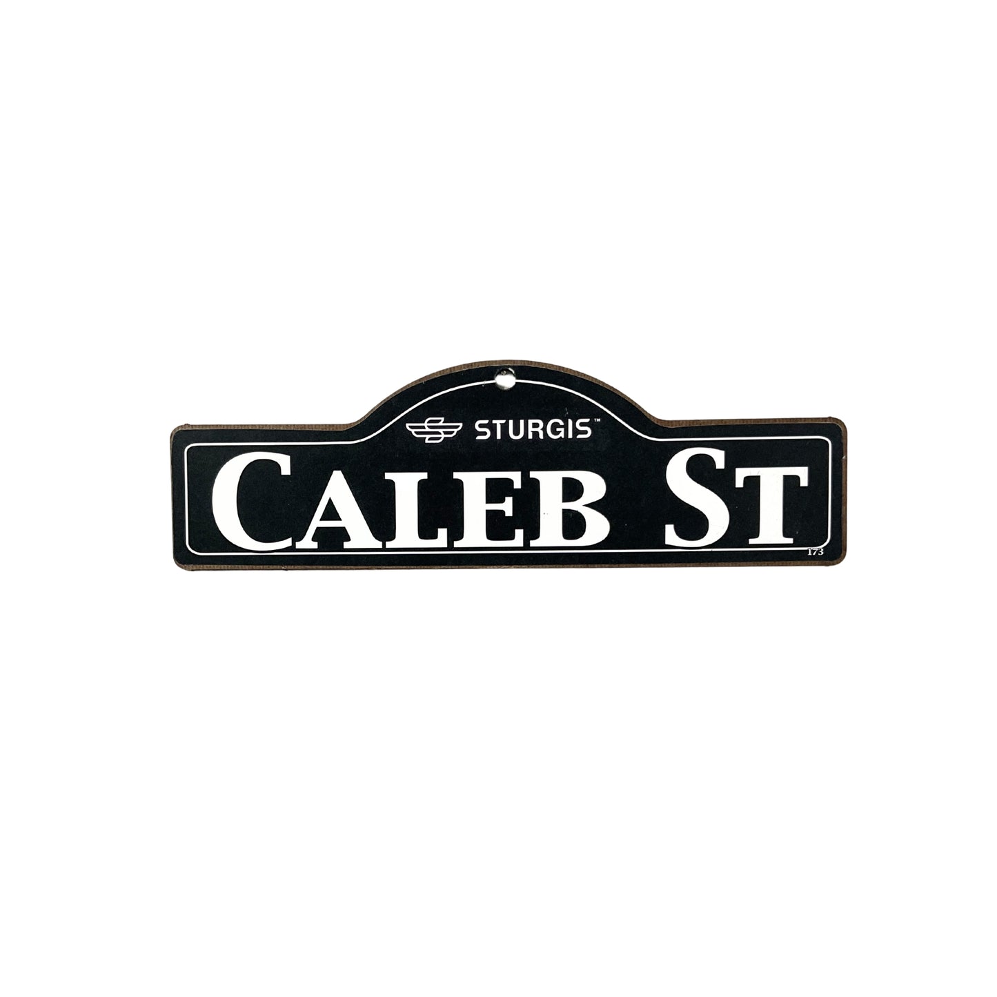 Caleb Sturgis Main St Official Personalized Street Sign