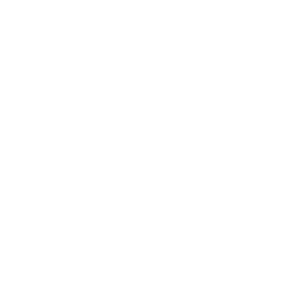 Official Sturgis Winged-S logo