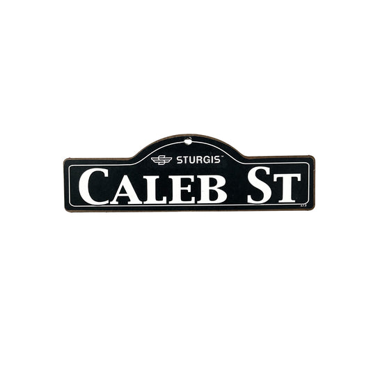 Caleb Sturgis Main St Official Personalized Street Sign