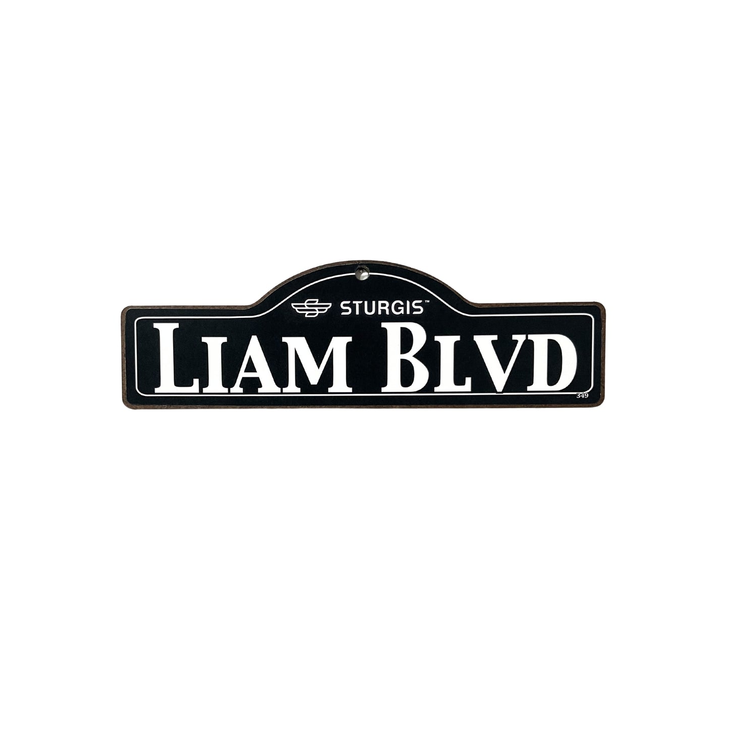 Liam Sturgis Main St Official Personalized Street Sign
