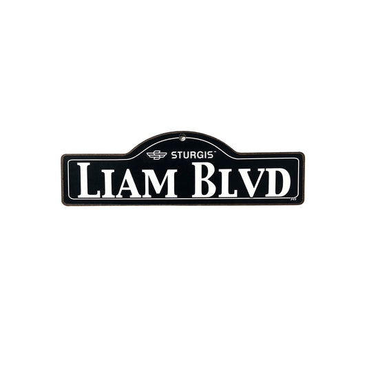 Liam Sturgis Main St Official Personalized Street Sign
