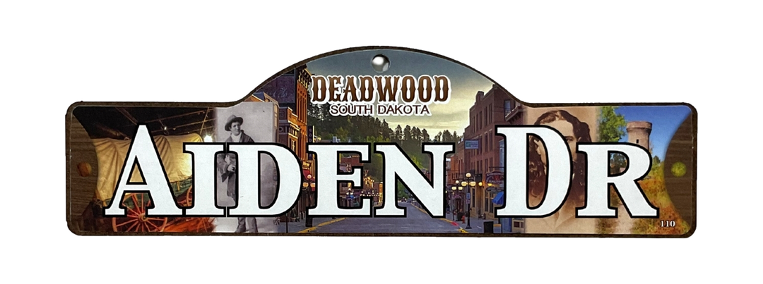 Aiden Dr — actual photographed Deadwood street sign