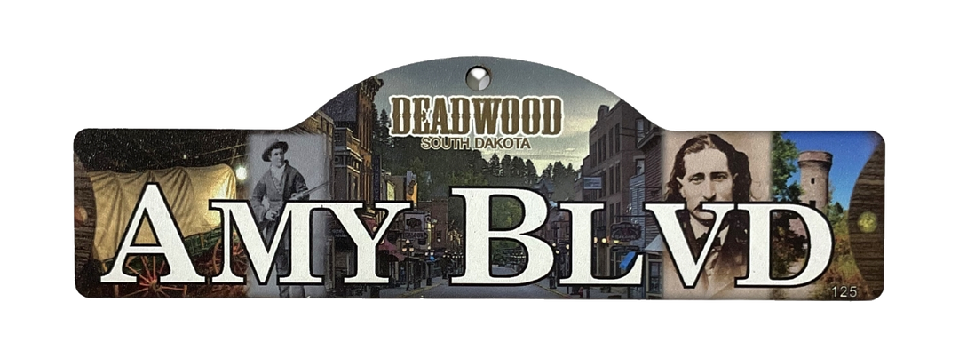 Amy Blvd — actual photographed Deadwood street sign