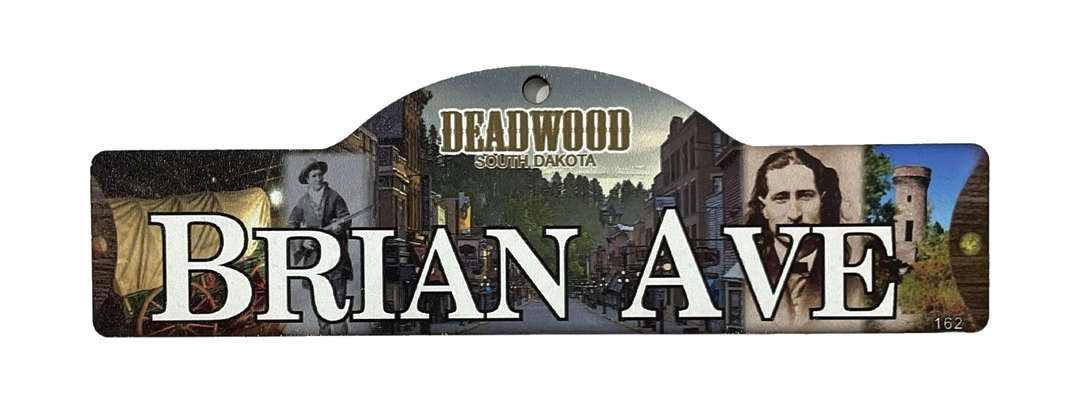 Brian Ave — actual photographed Deadwood street sign