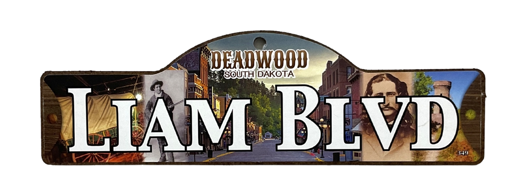 Liam Blvd — actual photographed Deadwood street sign