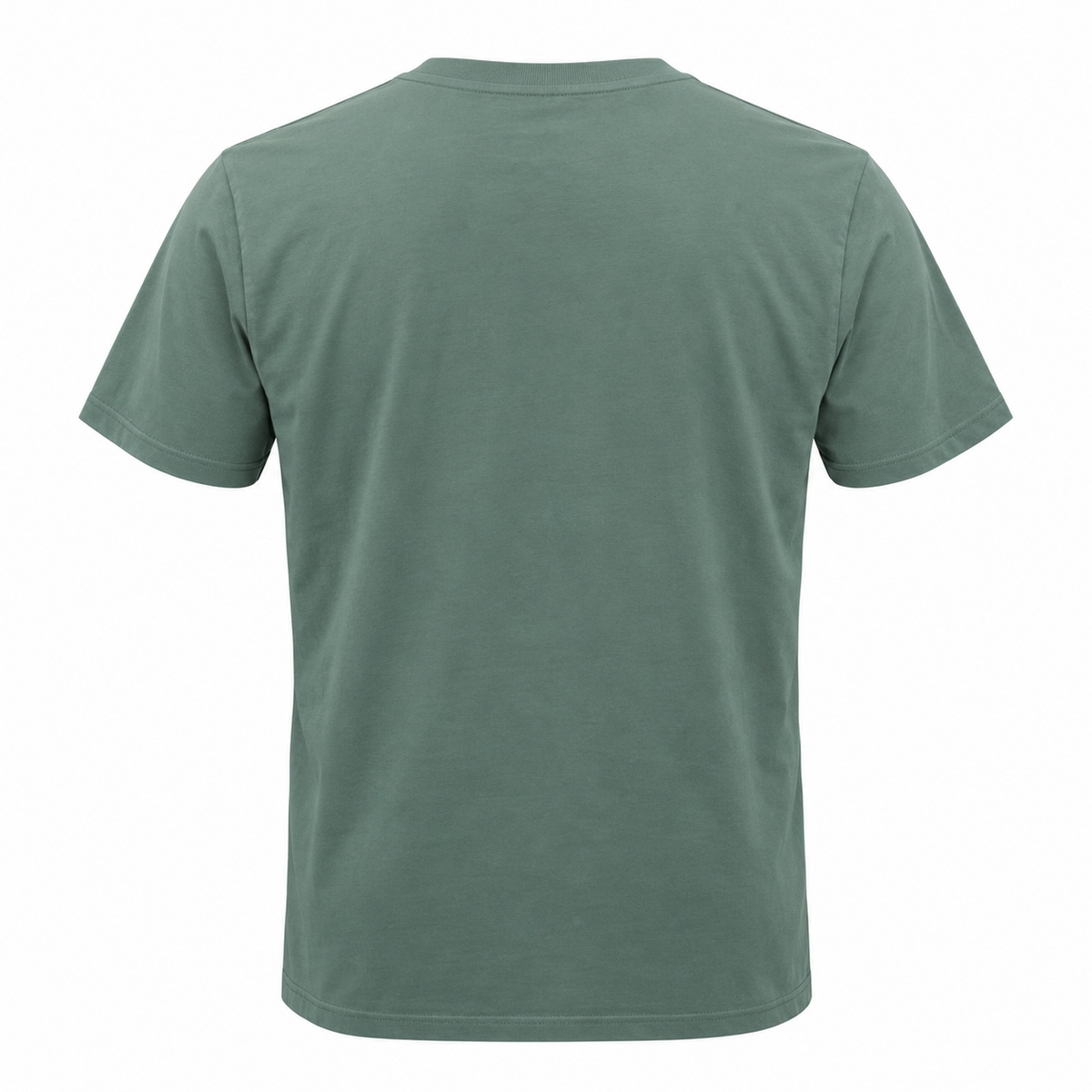 Sage green OR Deadwood South Dakota Bison Sunset T-shirt back