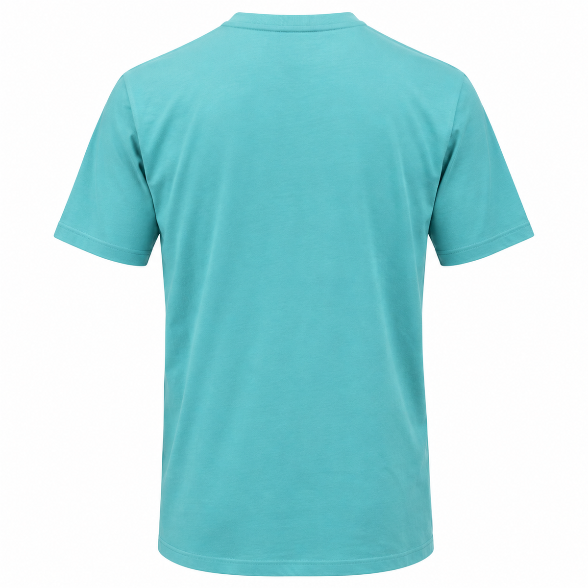 Turquoise OR Deadwood South Dakota Bison Sunset T-shirt plain back