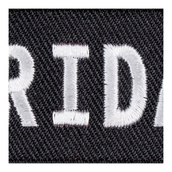 Florida State Patch, United States of America Patches — detail view 2