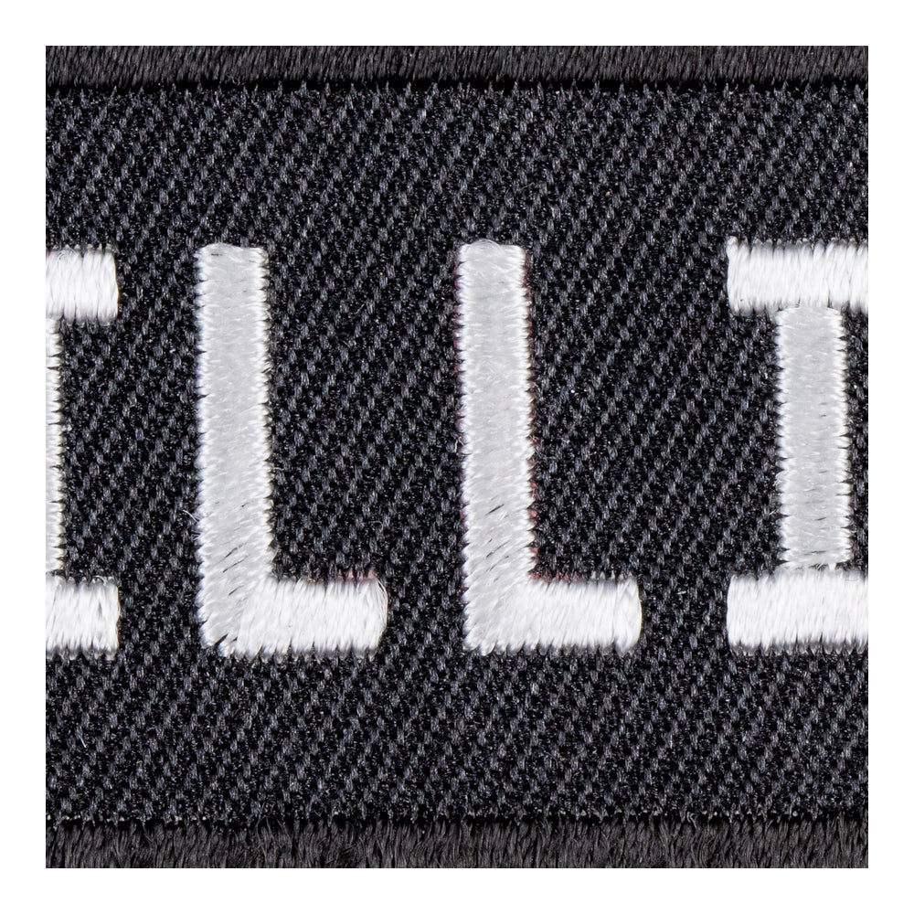 Illinois State Patch, United States of America Patches — detail view 2