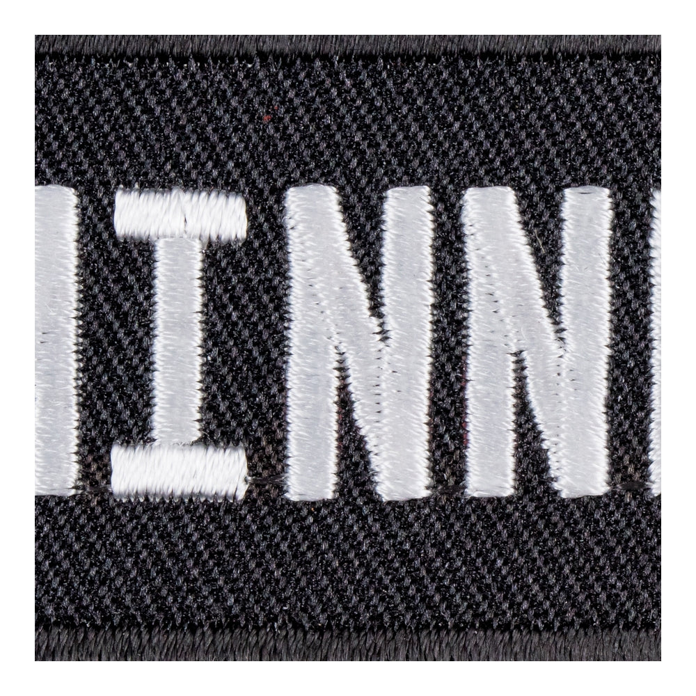 Minnesota State Patch, United States of America Patches — detail view 2