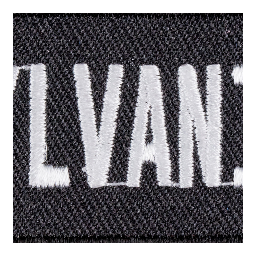 Pennsylvania State Patch, United States of America Patches — detail view 2