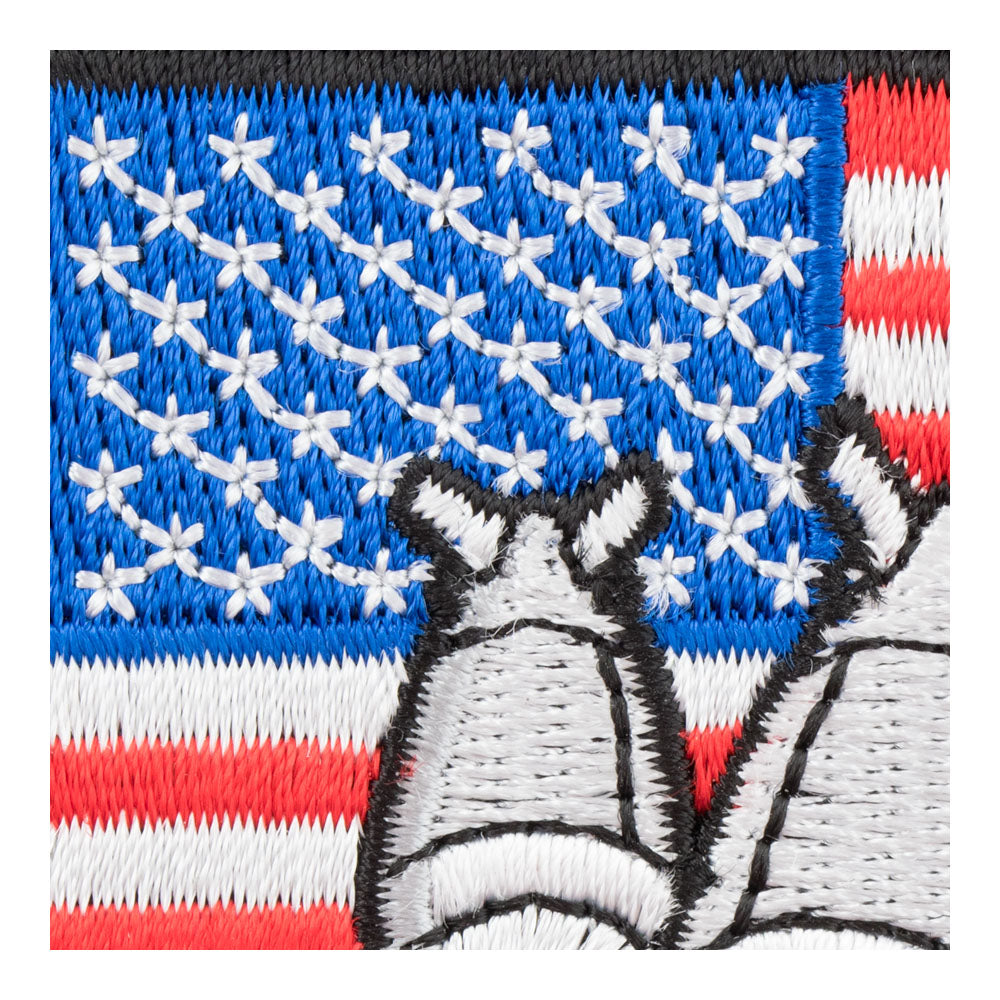 Free The Shit Out Of You Flag Patch, Patriotic Patches — detail view 1