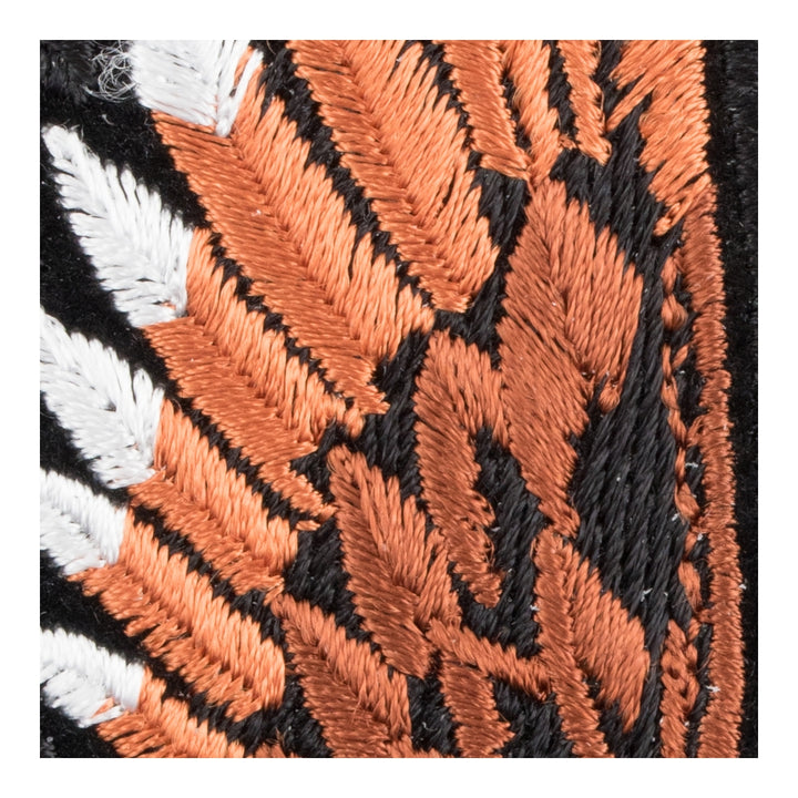 Upwing Brown Landing Eagle Patch, Medium Size — detail view 1
