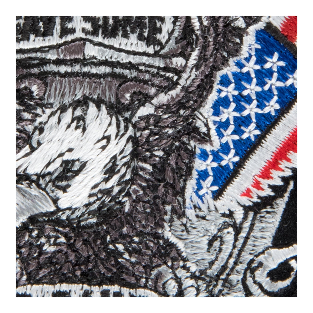 All Gave Some Some Gave All Eagle Patch, Small Size — detail view 2