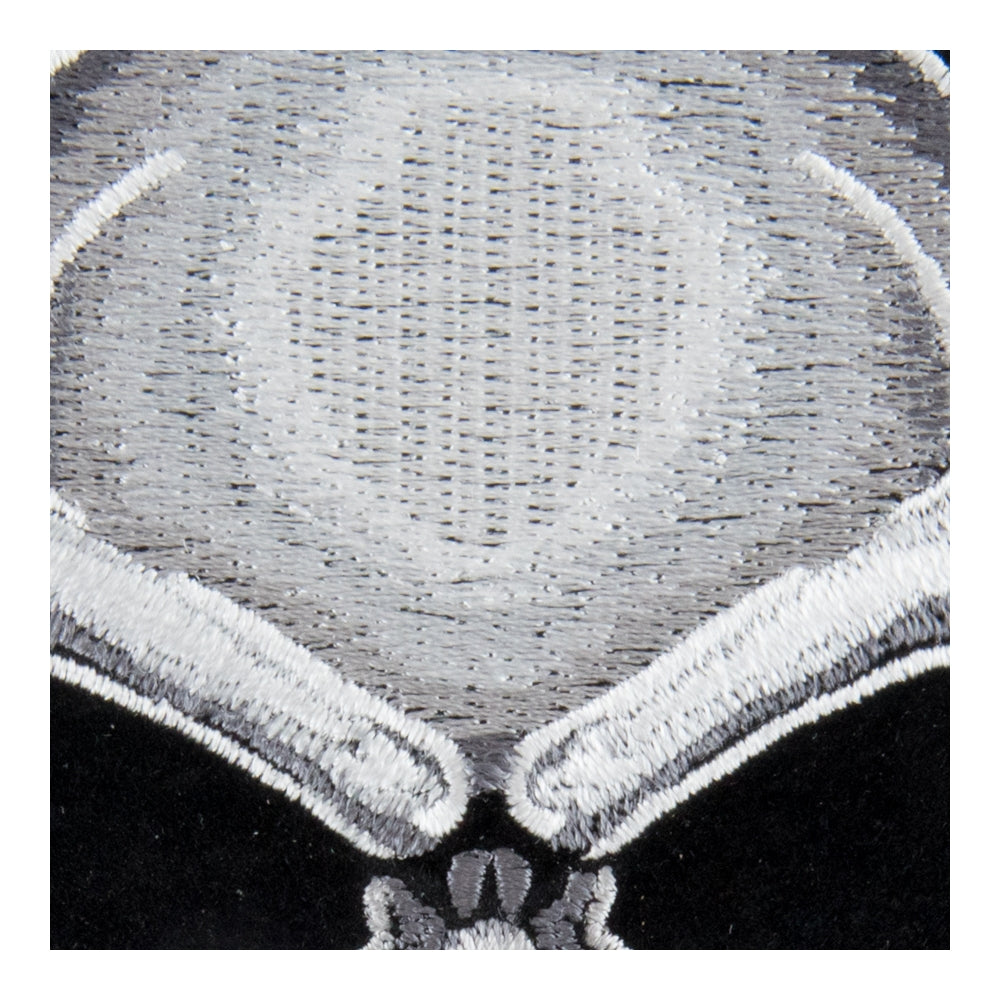 Gray Subdued Skull &amp; Crossbones Patch, Medium Size — detail view 1